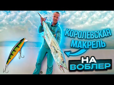 Видео: Рыбалка в Центре  Дубая!