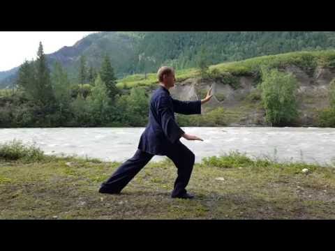 Видео: 8 forms Taijiquan.  Back view. 8 форм тайцзицюань - вид сзади