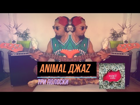 Видео: Animal ДжаZ - Три полоски (bass-cover)
