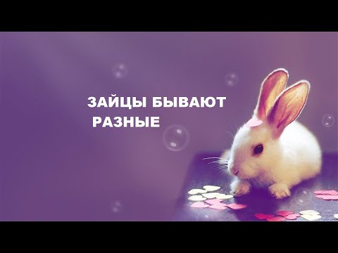 Видео: Лоскутное шитьё.Салфетки для посуды.(2022г)