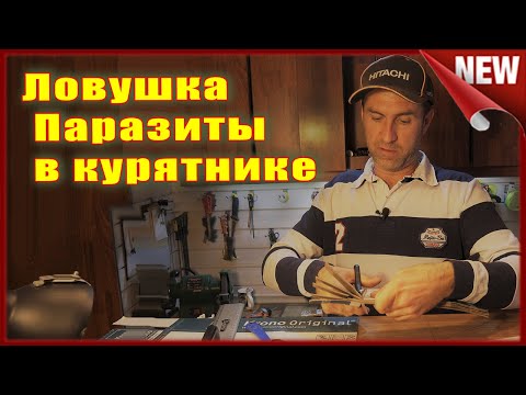 Видео: Куриный клещ. Как избавиться от куриных блох, вшей, пероедов и клещей  в курятнике.