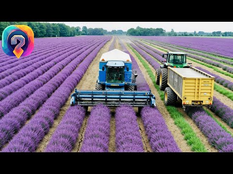 Видео: Как  создается ПАРФЮМ – Уникальные кадры с производства премиальных духов!