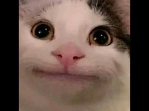 Видео: школа 134