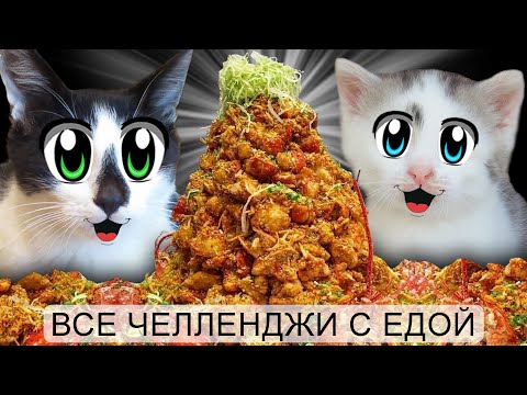 Видео: ЧЕЛЛЕНДЖИ С ЕДОЙ для КОТОВ! ОБЫЧНАЯ ЕДА против ЖИВОТНЫХ ! ПОДПИСЧИКИ выбирают ПОБЕДИТЕЛЯ