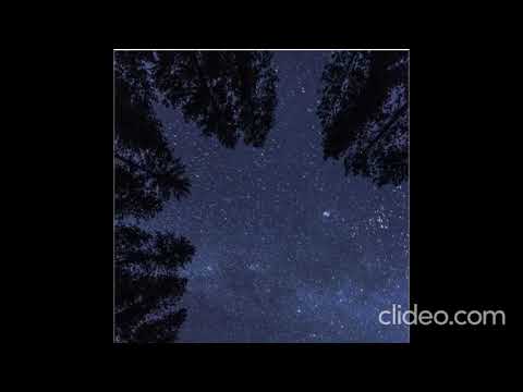 Видео: Вечер не вечность (Звезда) ( собственная песня , стихи Валентина Гафта, музыка ИИ, 2025 год)