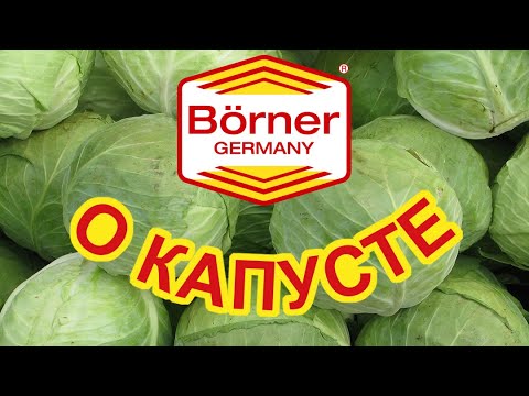 Видео: ТРЕНД и КАПУСТА урок из серии #тренд100уроков