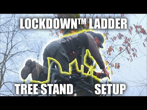Видео: Установка самой безопасной лестницы-подставки для дерева
