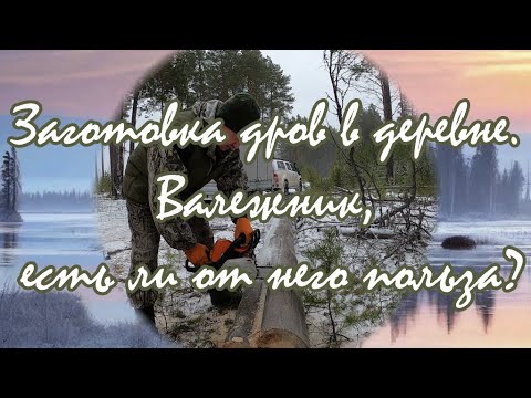 Видео: Заготовка дров в деревне/валежник/есть ли от него польза