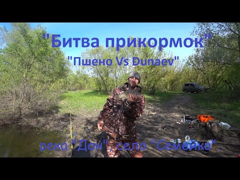Видео: "Битва прикормок: Пшено с чесноком vs Dunaev чеснок", река "Дон"