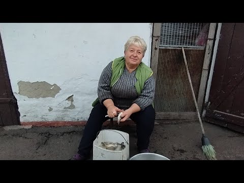 Видео: Як в селі на вихідні відпочивають/Курник прибрали/Яблука зібрали/Рибу почистили