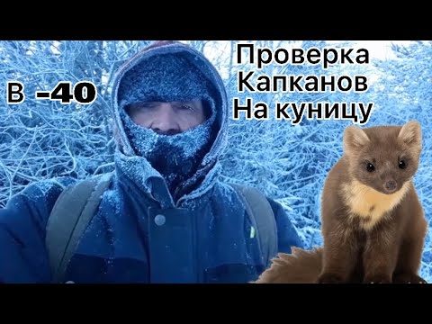 Видео: Очередная проверка капканов на куницу 2023-2024!!!