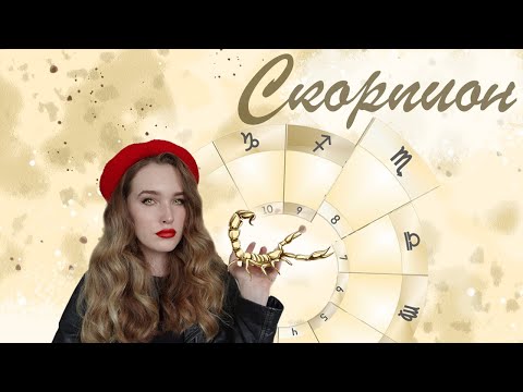 Видео: Скорпион. Мир принадлежит терпеливым | Из чего состоит знак