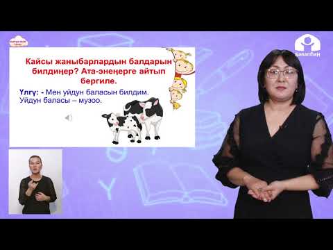 Видео: Кыргызский язык 2-класс / Жылкы сүйөт баласын / ТЕЛЕУРОК 15.12.20