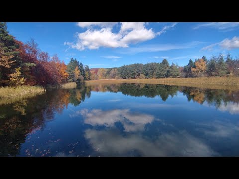 Видео: О, КОЛКО ЧУДНА БЛАГОДАТ