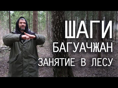 Видео: Урок с шагами багуачжан в лесу / Цигун в шагах / 15 минут