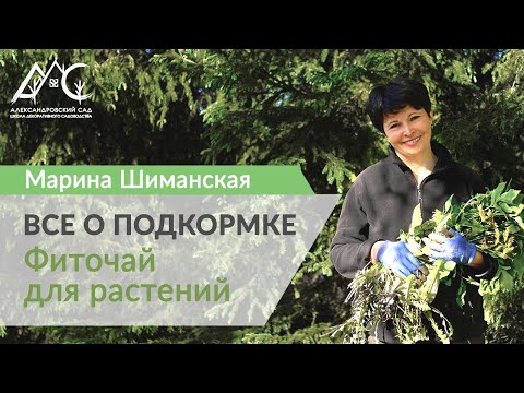 Видео: Подкормка растений: травяной настой