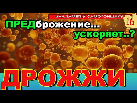 Видео: Факт! Размноженные дрожжи энергичнее едят сахар! А вот как долго их размножать? ГХА  СС такой браги