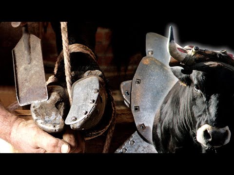 Видео: Кузнец с раскаленными литыми подковами и их подгонкой на традиционном токарном станке