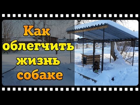 Видео: Собака и её содержание на улице круглый год. Вольер, будка.