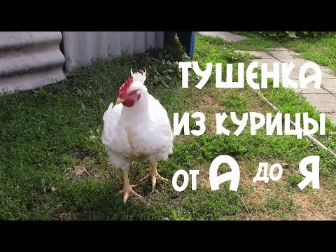 Видео: Лучшая ТУШЕНКА ИЗ БРОЙЛЕРА БЕЗ Автоклава от "А" до "Я"!  Как Правильно Хранить Тушёнку