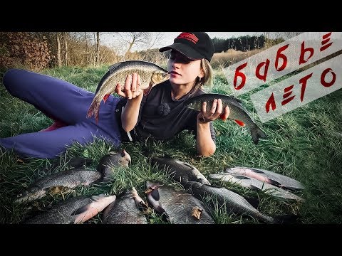 Видео: Раздача ЛЕЩА в бабье лето!!!