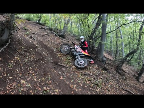 Видео: Буховски екстреми