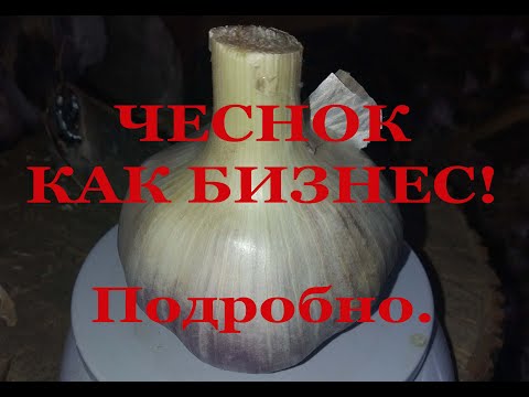 Видео: ЧЕСНОК КАК БИЗНЕС. Мой опыт. Технологическая карта, рентабельность и т.д. подробно.