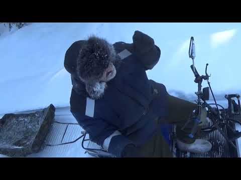 Видео: Поймать зайца на бобриный капкан #2