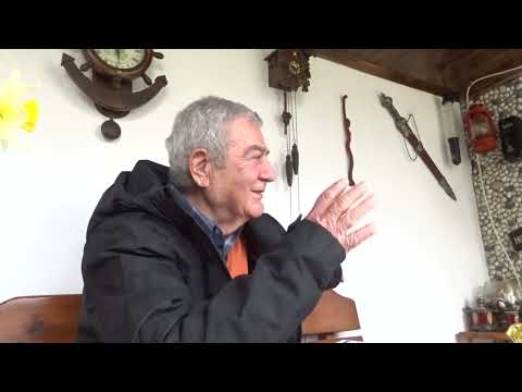 Видео: Стефан Цанев - интервю