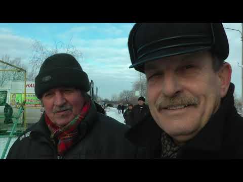 Видео: Николаевские голуби