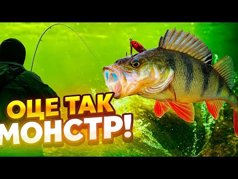 Видео: “Після провалу — РИБАЛКА, ЯКУ МИ НЕ ЗАБУДЕМО! 🎣 Окунь атакував з перших хвилин!”