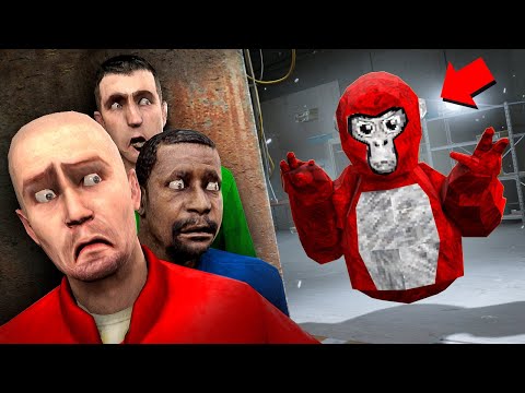 Видео: ГОРИЛЛА ТЕГ! УГАР И БЕЗУМИЕ В Garry`s Mod