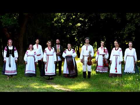 Видео: Фальклорны гурт "Варган" Ой у дубе дубе (песня з в. Клетная Пінскага р-на)
