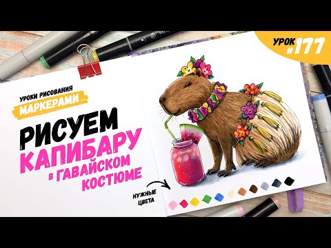 Видео: Как нарисовать капибару? / Видео-урок по рисованию маркерами #177