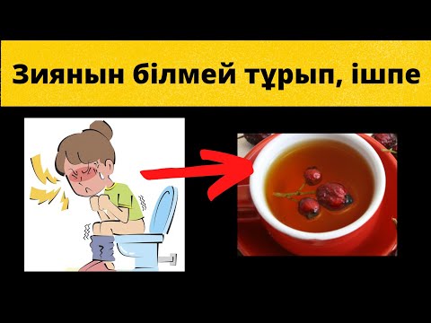 Видео: Тибеттік дәрігерлер итмұрынның қасиетін... #итмұрын#шиповник