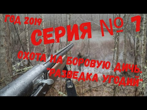 Видео: СЕРИЯ № 7. Глухарь на лиственнице. Ходовая охота в Сибири.