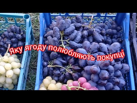 Видео: Форми які довисіли до 27 вересня 2025 р.