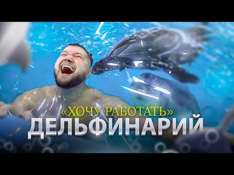 Видео: Дельфины лечат людей! Хочу работать в дельфинарии | Дельфинотерапия