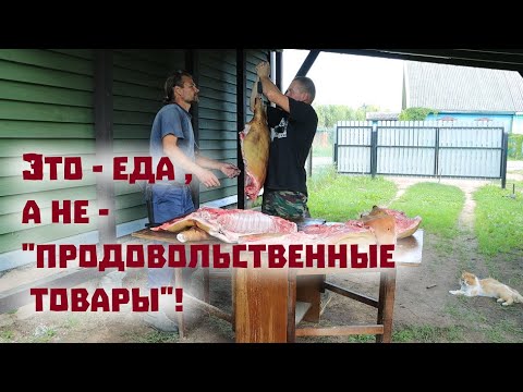 Видео: Получили много еды и встретились с самым странным гостем в ДНБ!