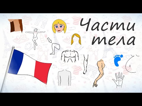 Видео: Части тела на французском.