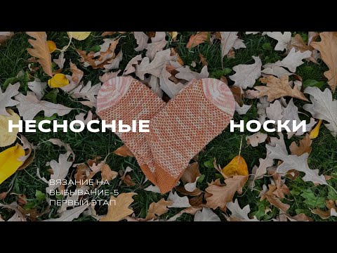 Видео: #внв_5 Несносные носки | Носки, которые легко чинить - шотландские зернышки