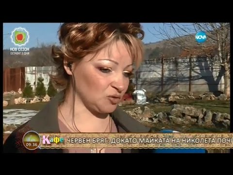 Видео: „На кафе” с ясновидката Николета Йорданова (29.01.2016г.)