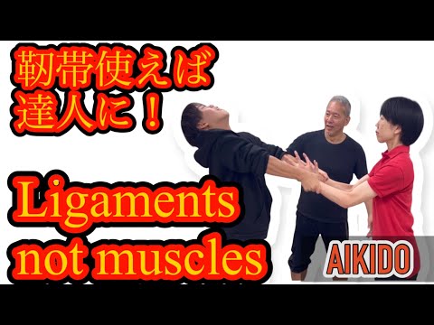 Видео: Активируйте силу в 500 кг! Используйте связки, а не мышцы [Айкидо].
