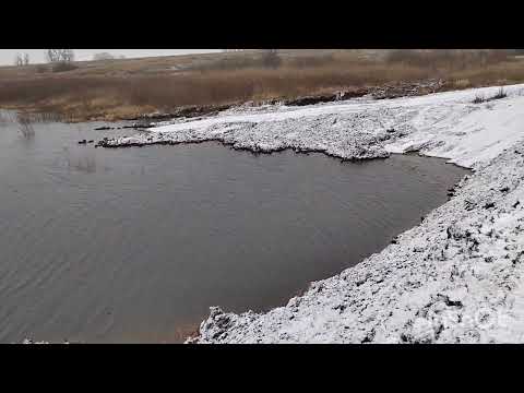 Видео: Первый снег! 