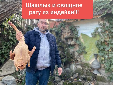 Видео: Шашлык из ГУСЯ и ОВОЩНОЕ РАГУ С ГУСЁМ!!!