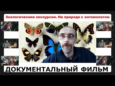 Видео: Документальный фильм "Зоологические экскурсии. На природе с энтомологом"