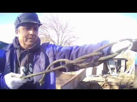 Видео: КАК ЛЕГКО в два приема завязать трос в петлю.
