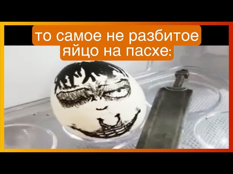 Видео: тикток остался последним | подборка мемов