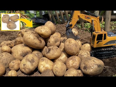 Видео: Как приготовить в 20 раз больше картофеля из покупного.