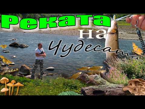 Видео: Спининг риболов по река Арда в лятната жега.Spinning fishing on the Arda River in the summer heat.